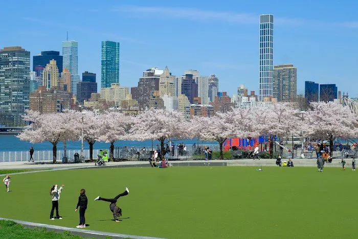 Hunter's Point South Park Picture 3
