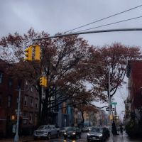 Northside Community Garden ico