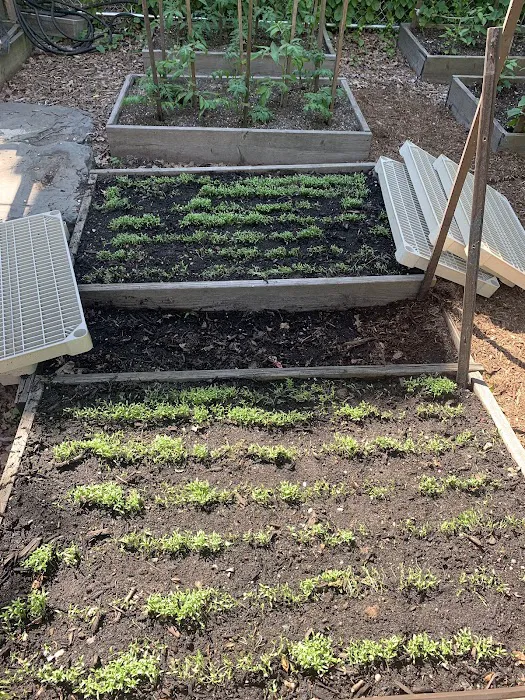 Espiritu Tierra Community Garden Picture 2