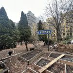 Espiritu Tierra Community Garden