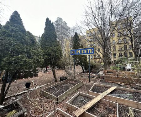Espiritu Tierra Community Garden