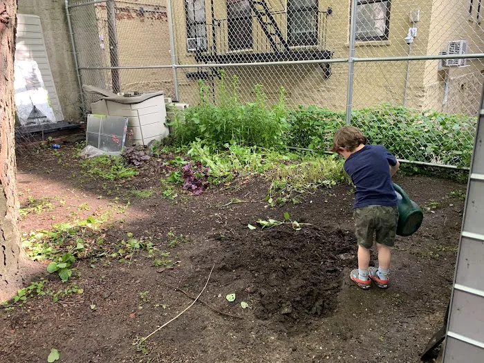 Espiritu Tierra Community Garden Picture 3