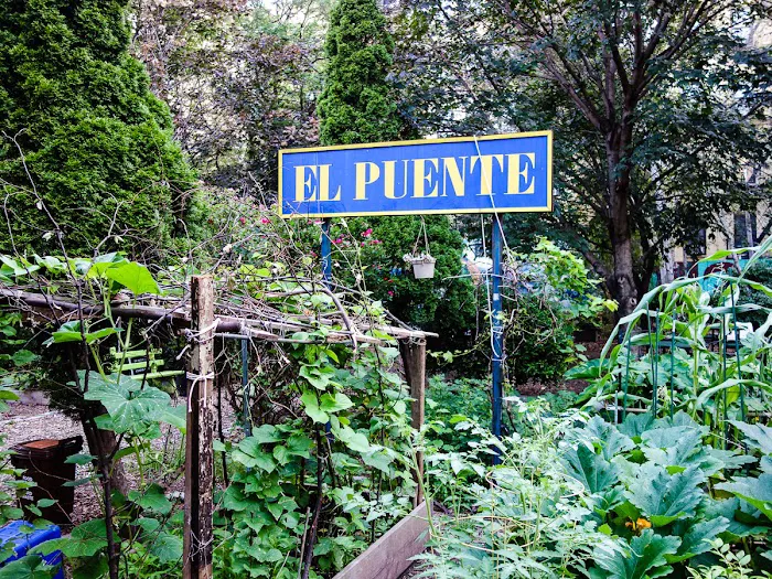 Espiritu Tierra Community Garden Picture 6