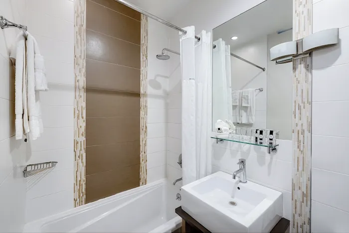 Aura Hotel Brooklyn Picture 2