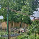Myrtle Village Green