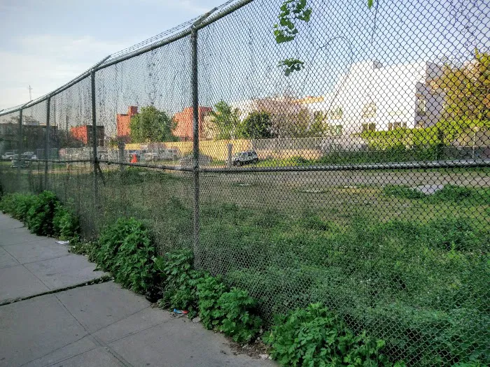 Myrtle Village Green Picture 10