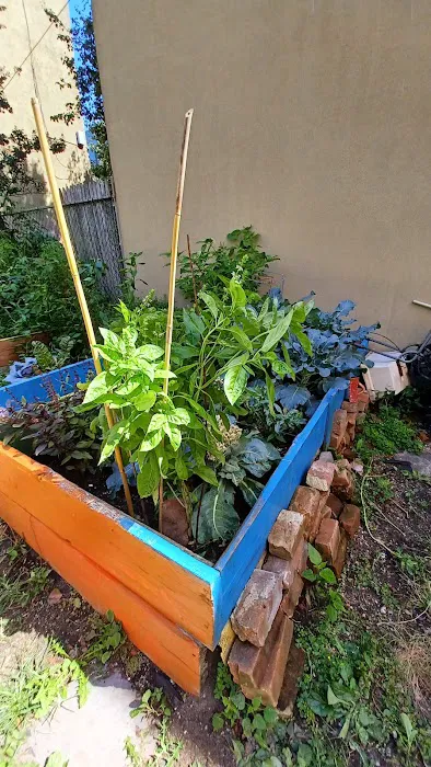 Stars of Hope Community Garden Picture 2