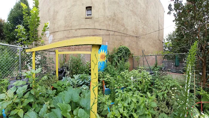 Stars of Hope Community Garden Picture 6