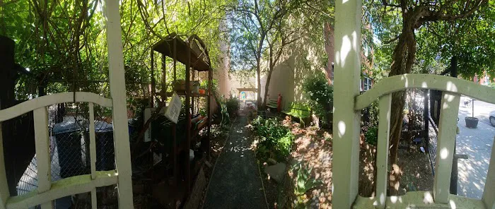 Stars of Hope Community Garden Picture 1