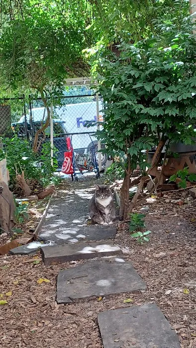 Stars of Hope Community Garden Picture 3