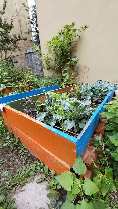 Stars of Hope Community Garden Picture 8