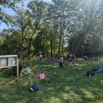 Blind Brook Forest Restoration Plot