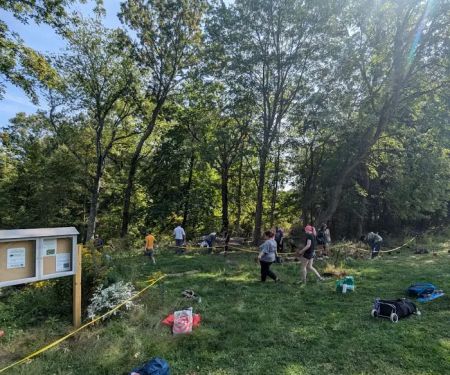 Blind Brook Forest Restoration Plot