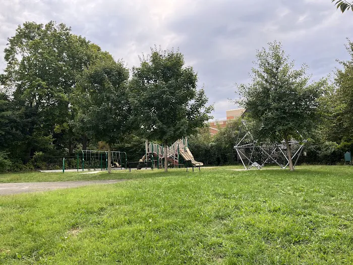 William Street Park & Playground Picture 5