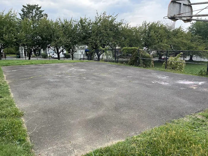 William Street Park & Playground Picture 3