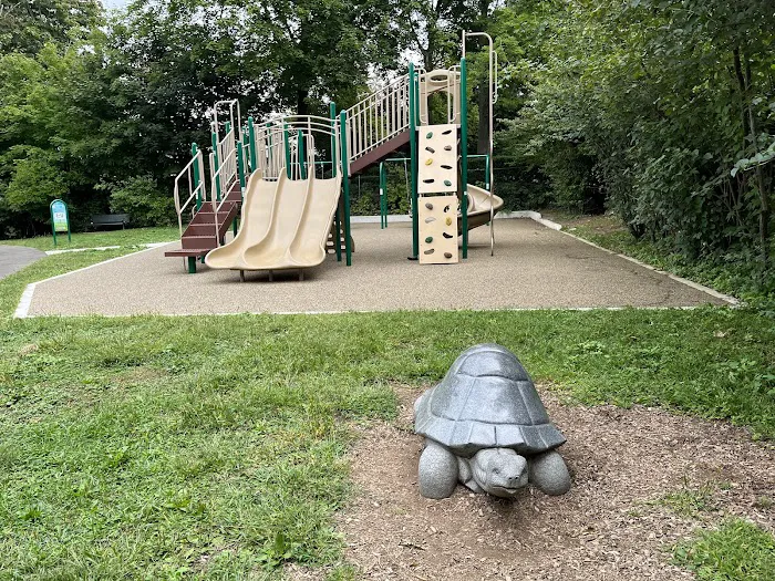 William Street Park & Playground Picture 8