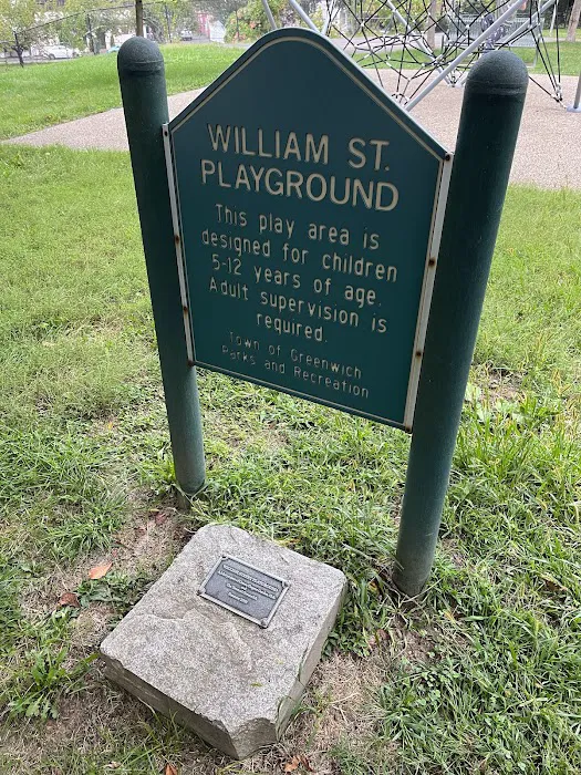 William Street Park & Playground Picture 2