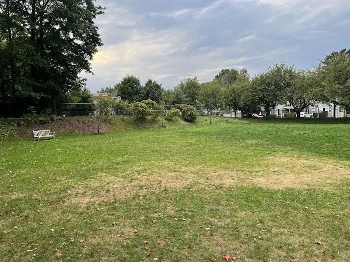 William Street Park & Playground Picture 1
