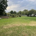 William Street Park & Playground