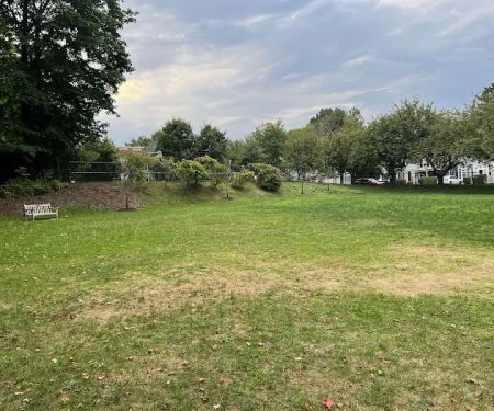 William Street Park & Playground