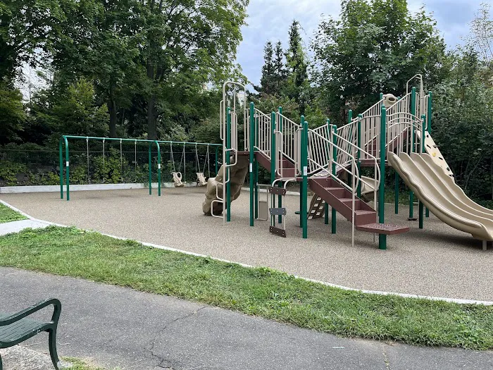 William Street Park & Playground Picture 9