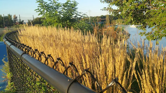 Cos Cob Park Picture 6