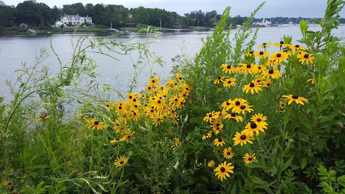 Cos Cob Park Picture 5