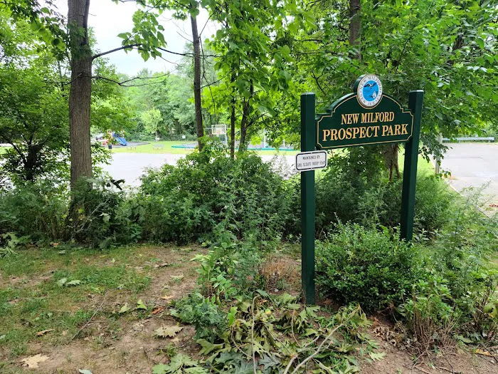 New Milford Prospect Park Picture 2