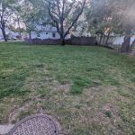 Behren's Park