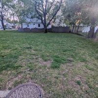 Behren's Park ico
