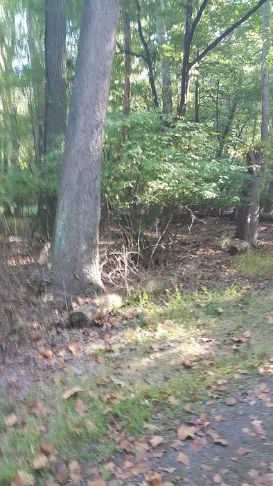 Emerson Woods Picture 2