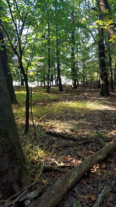 Emerson Woods Picture 1