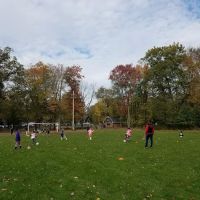 Highland Field ico