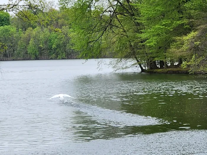 Donald T. Horsey Centennial Park Picture 2