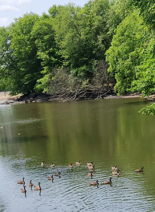 Donald T. Horsey Centennial Park Picture 4