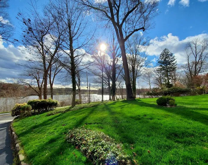 George Street Park Picture 9