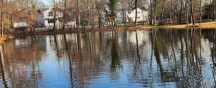 George Street Park Picture 7