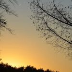 Oradell Reservoir Trail