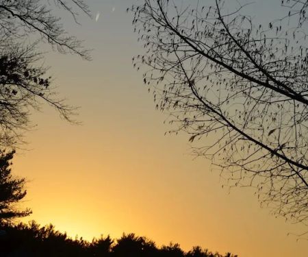 Oradell Reservoir Trail