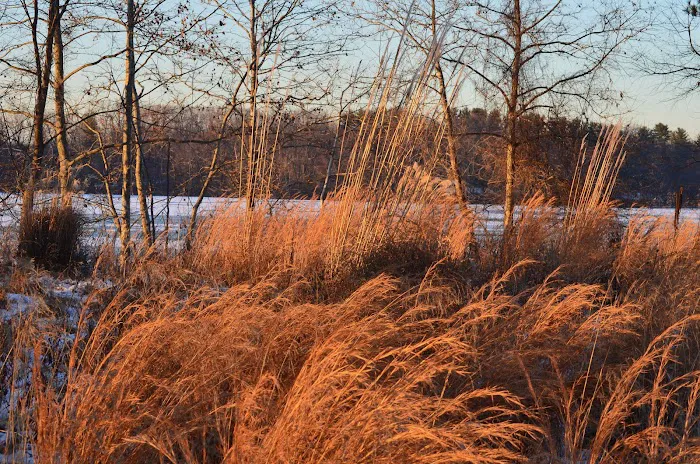 Oradell Reservoir Trail Picture 6