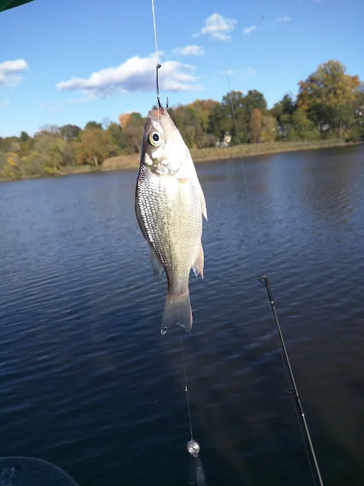 Hackensack River County Park Picture 1