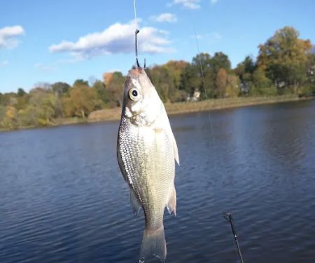 Hackensack River County Park