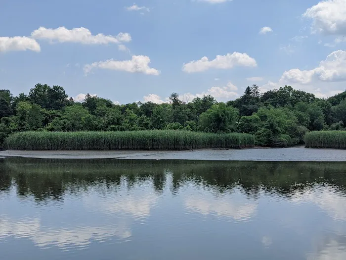 Hackensack River County Park Picture 7