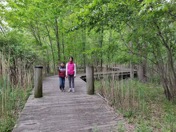 Hackensack River County Park Picture 9