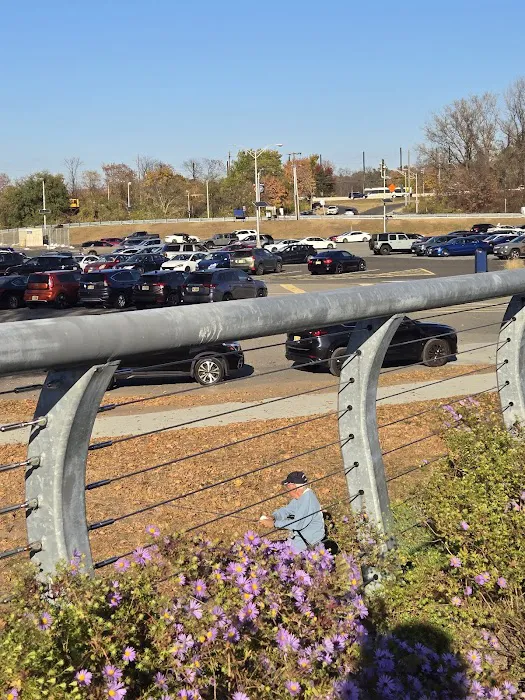 Hackensack River Pathway Picture 4