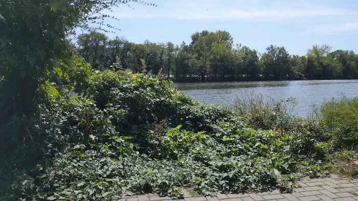 Hackensack River Pathway Picture 3