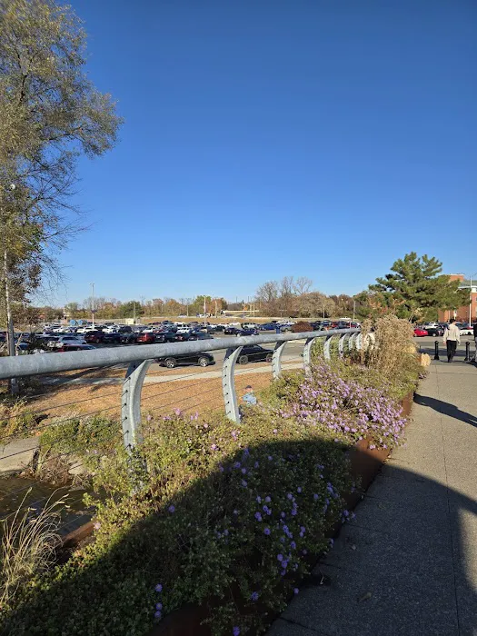 Hackensack River Pathway Picture 1