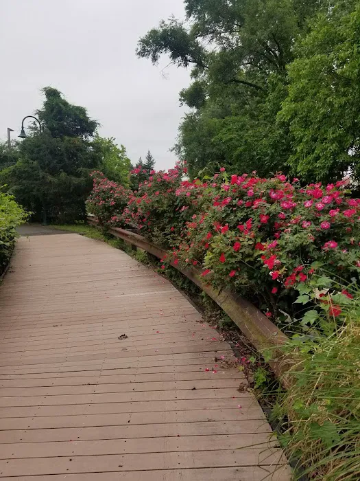 Hackensack River Pathway Picture 9
