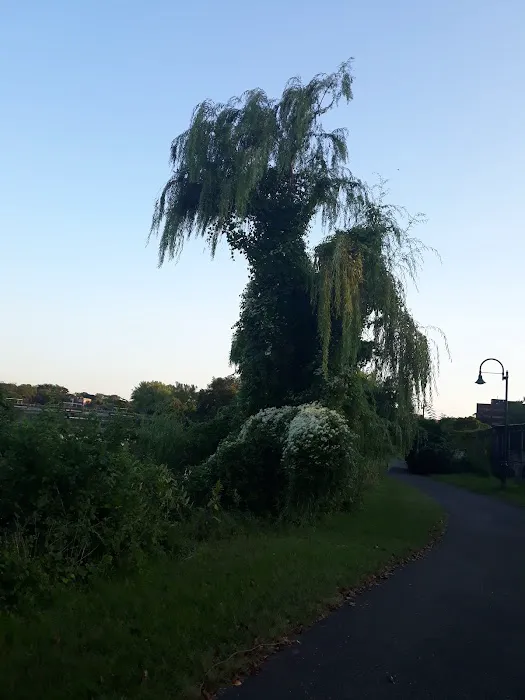 Hackensack River Pathway Picture 7