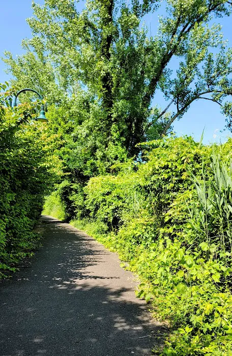 Hackensack River Pathway Picture 8